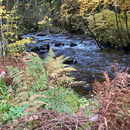 Le Cosy De La Vologne Apartment Gérardmer
