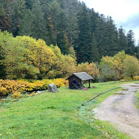 Le Cosy De La Vologne Apartamento *