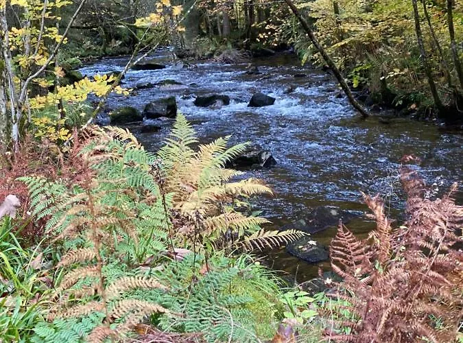 Le Cosy De La Vologne Lägenhet Gérardmer