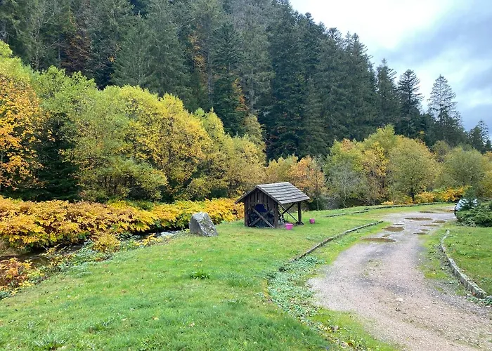 Le Cosy De La Vologne Apartamento *