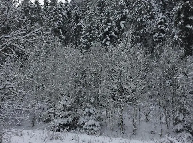 Le Cosy De La Vologne